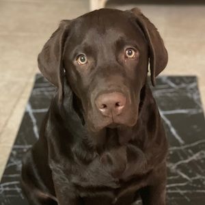 Meet your Posher, Alexis